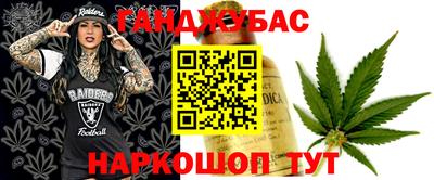 крисы Краснознаменск