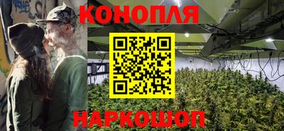 крисы Краснознаменск