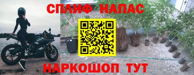 крисы Краснознаменск